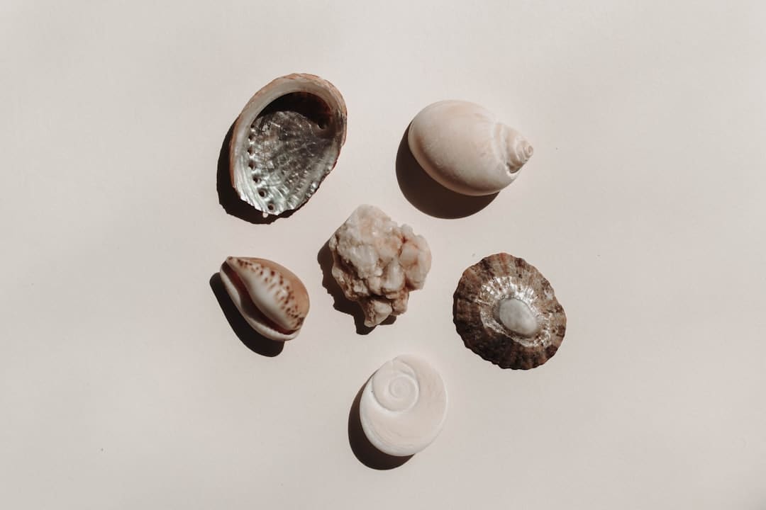 《生万物》:传统题材找到新切口